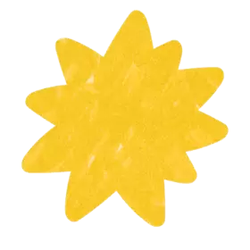 Variety Squiggle Shape - yellow sunshine