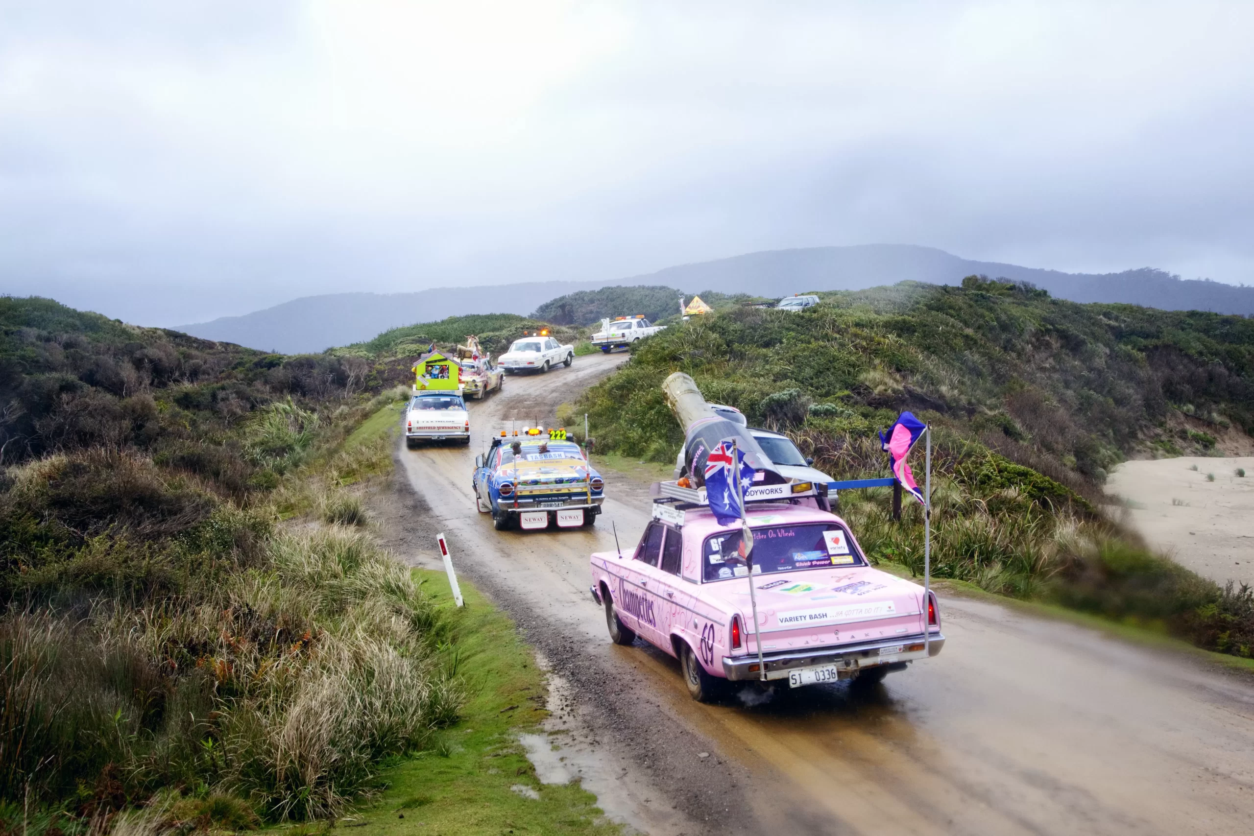 Line of Variety Bash cars with scenic background of foggy hills