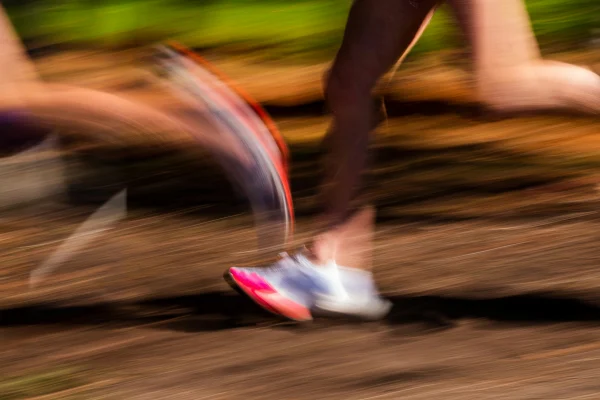 Run, Walk and Get Active for Variety